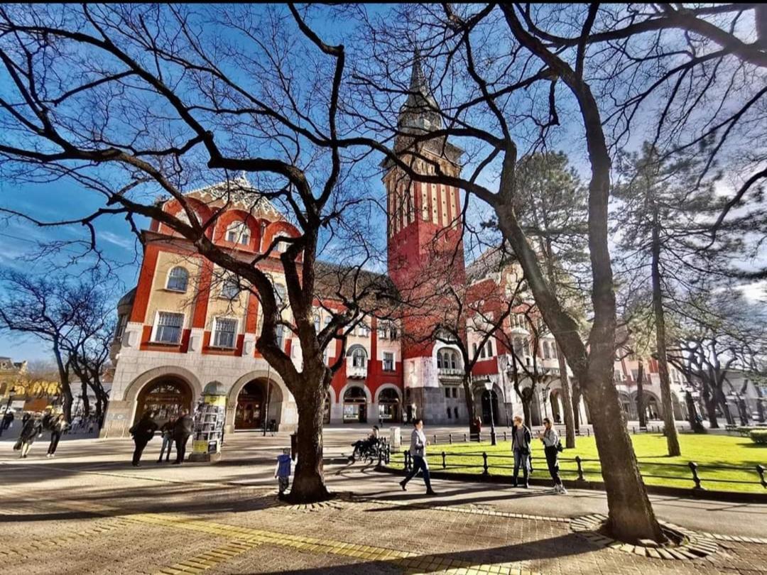 Koks Apartmans Subotica Bagian luar foto